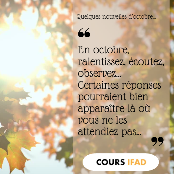 Cours IFAD - Énergies du mois d'octobre 2026